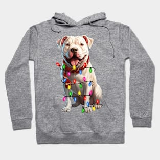 Christmas Dogo Argentino Hoodie